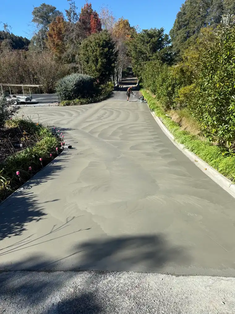 Freshly floated concrete driveway running uphill through native bush